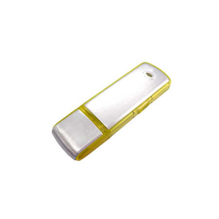 Customization Corporate USB Flash Memory Promotional Products
