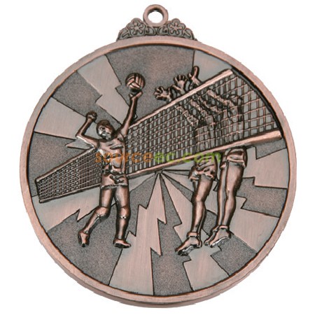 Customization Volley Ball Medal Promotional Products