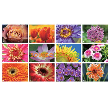 Customization Table Calendar Promotional Products