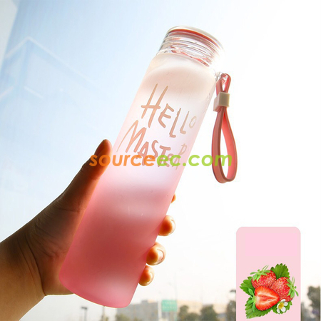 Customization 480ML Frosted Glass Promotional Products