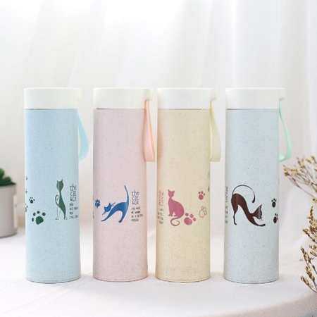 Customization Glass Water Bottle Promotional Products