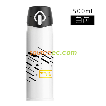Customization 500ML Stainless Steel Vacuum Flask Promotional Products