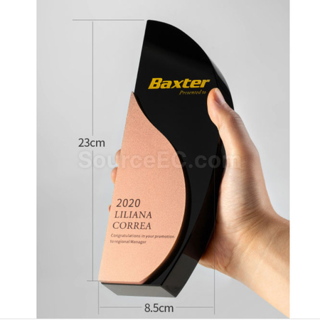 Customization Metal Trophy Promotional Products