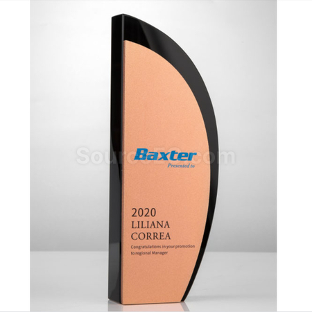 Customization Metal Trophy Promotional Products
