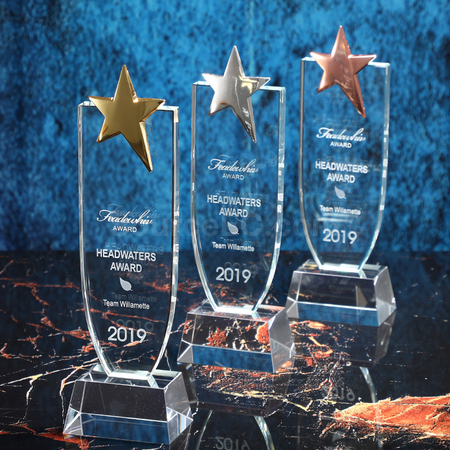 Customization Crystal Trophy Promotional Products
