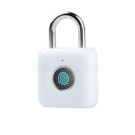 Customization Fingerprint Travel Lock Promotional Products