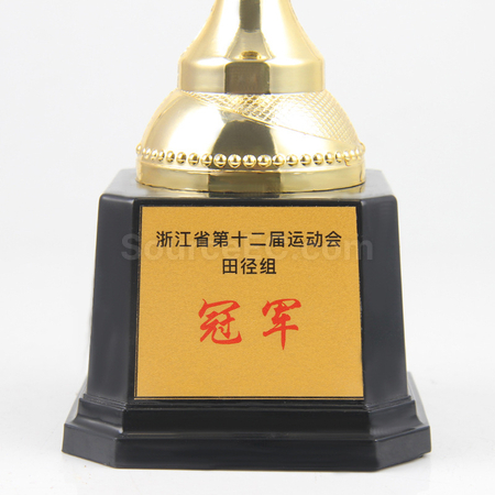 Customization Trophy Cup Promotional Products