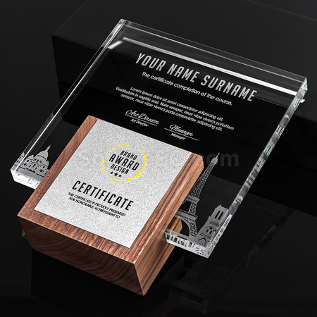 Customization Crystal Trophy Promotional Products