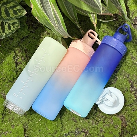 Customization Sports Inspirational Water Bottle 600ml Promotional Products