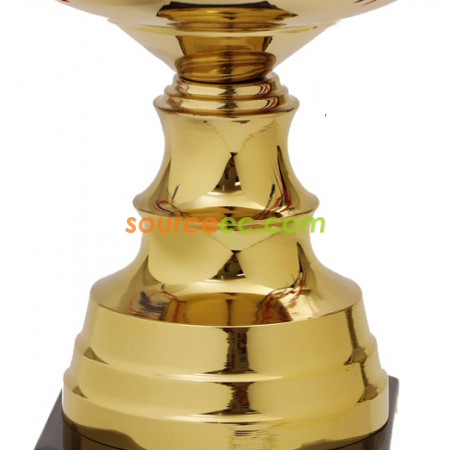 Customization Trophy Cup Promotional Products
