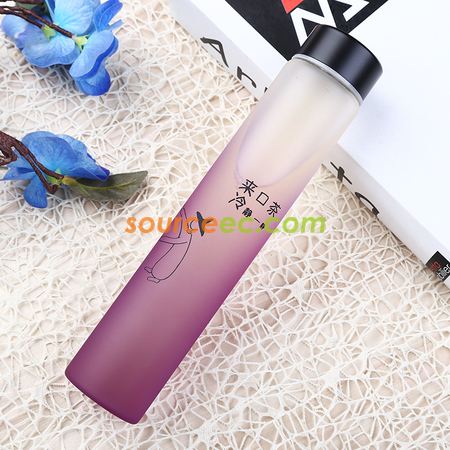 Customization 400ML Double Glass Promotional Products