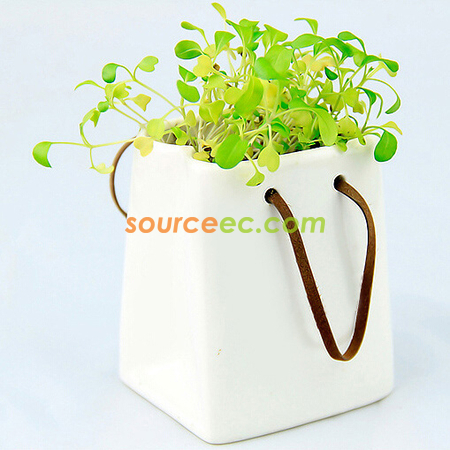 Customization Environmental Planted Gift Promotional Products