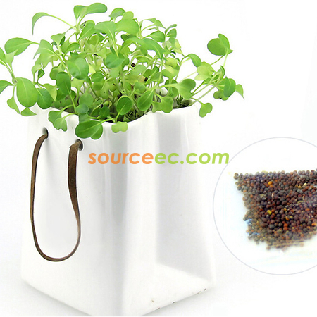 Customization Environmental Planted Gift Promotional Products