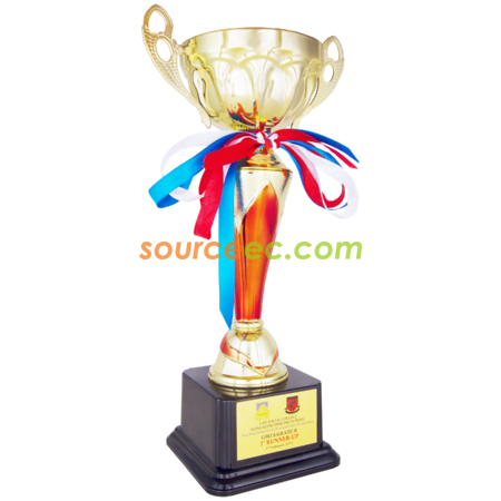 Customization Trophy Promotional Products