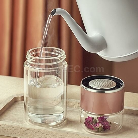Customization 280ML Portable Glass Bottle with Infuser Promotional Products