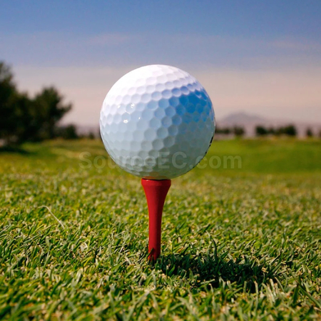 Customization Golf Tee Promotional Products