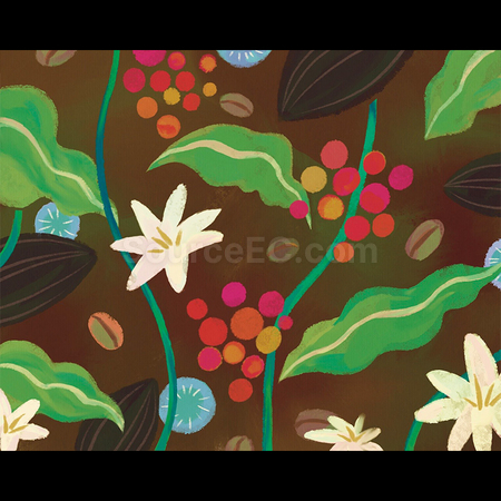 Customization Customized Drip Coffee-Rainforest Promotional Products