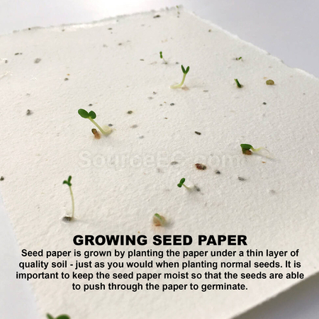 Customization Daisy Seed Sticky Note Pad Promotional Products