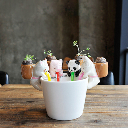 Customization Easter Mini Plants Promotional Products