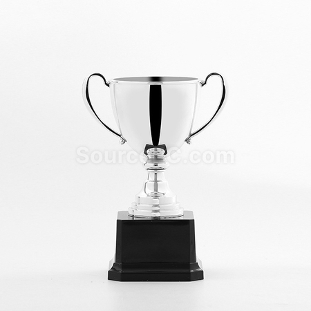 Customization Trophy Cup Promotional Products