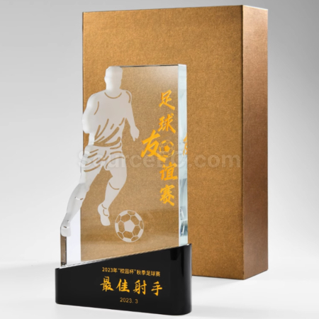 Customization Contest Trophy Promotional Products
