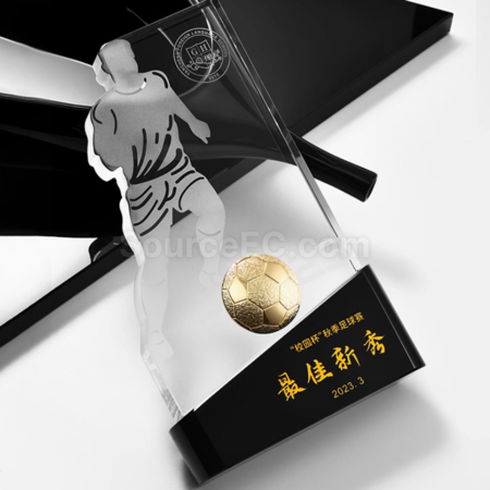Customization Contest Trophy Promotional Products
