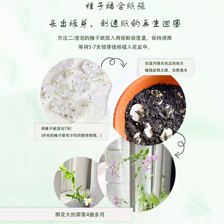 Customization Seed Paper Fan Promotional Products