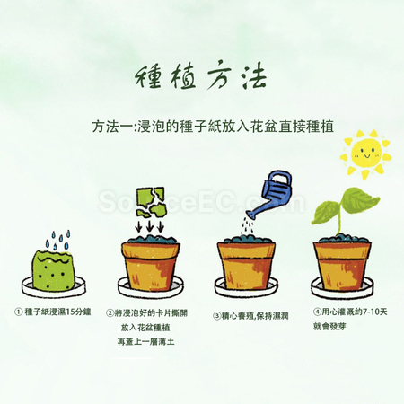 Customization Seed Paper Notebook Promotional Products