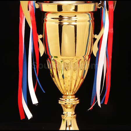 Customization Metal Trophy Promotional Products
