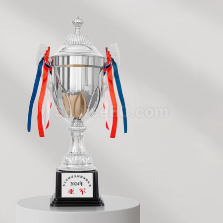 Customization Metal Trophy Promotional Products