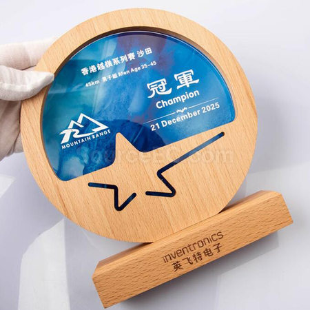 Customization Solid Wood Crystal Award Promotional Products