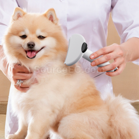 Customization 2-in-1 Pet Hair Removal and Sticky Comb Promotional Products