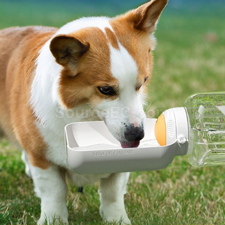 Customization Large-capacity travel water bottle for pets Promotional Products