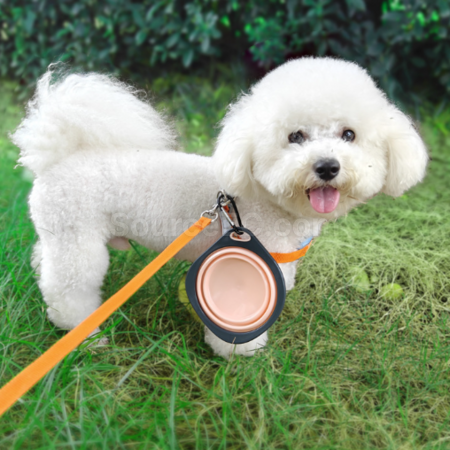 Customization Pet folding bowl Promotional Products