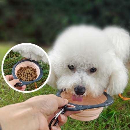 Customization Pet folding bowl Promotional Products