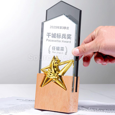 Customization Creative Wood Award Promotional Products
