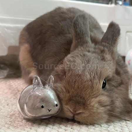 Customization Cute Little Rabbit Transparent Hair Storage Box Promotional Products