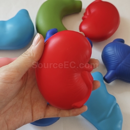 Customization Organ stress ball  Promotional Products