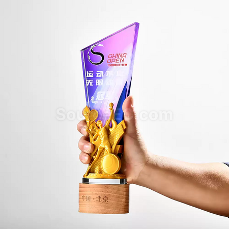Customization Sport Crystal Trophy Promotional Products