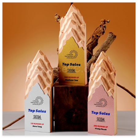 Customization Creative Metal and Solid Wood Trophy Promotional Products
