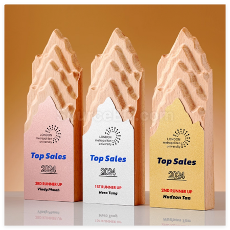 Customization Creative Metal and Solid Wood Trophy Promotional Products