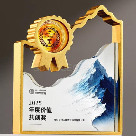 Customization Crystal Trophy Promotional Products