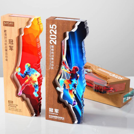 Customization Creative Wood Award Promotional Products