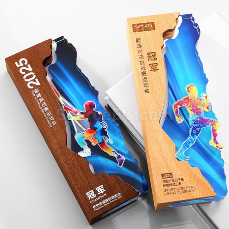 Customization Creative Wood Award Promotional Products