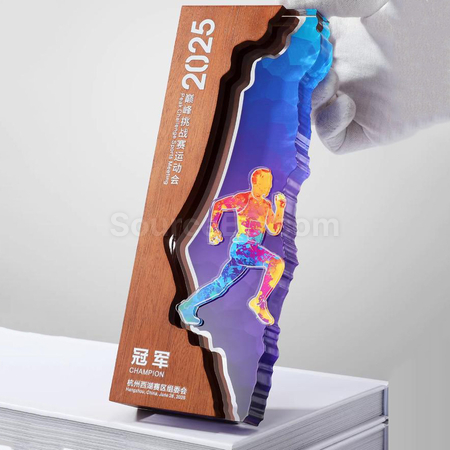 Customization Creative Wood Award Promotional Products