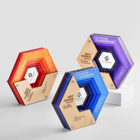Customization Multi-layer Acrylic Wooden Trophy Promotional Products